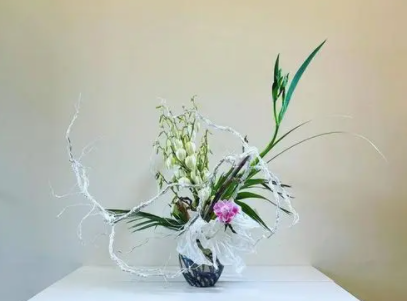 插画作品