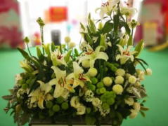 日本插花与中国插花有哪些不同