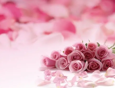 插花花材