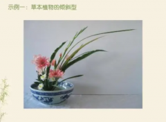 想要学花艺需要学习哪些内容