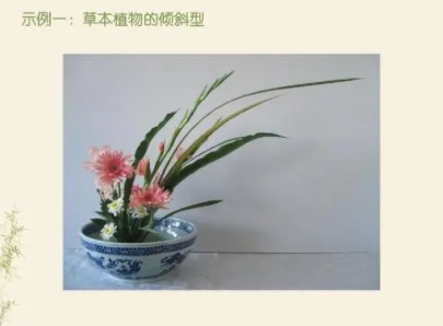 学花艺