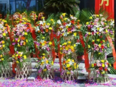 开业庆典花篮送几个用什么花好