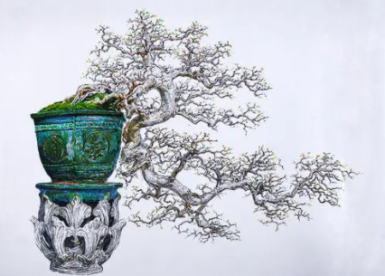 插花与盆景