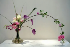 关于月季插花方法此类花插花可选品种
