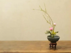 中式插花历史它是日式插花来源源头