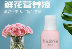 使用插花保鲜剂作用花卉开久的做法