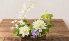 学习插花去插花培训班学需掌握技能