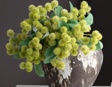 插花泥种花可行养花种花的方式内容