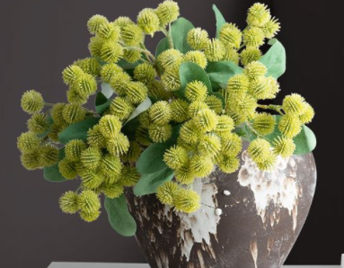 插花泥种花