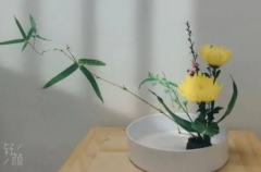 中式插花材料插花美观搭配整个过程