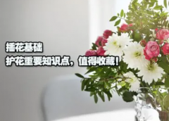 学习插花基础知识实用插花基础课程