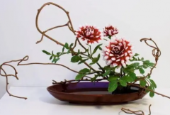插花艺术鉴赏知识插花审美方式价值